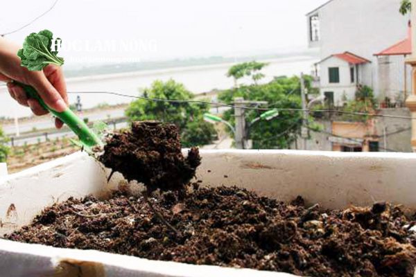 Các Bước Trộn Đất Trồng Rau Tại Nhà